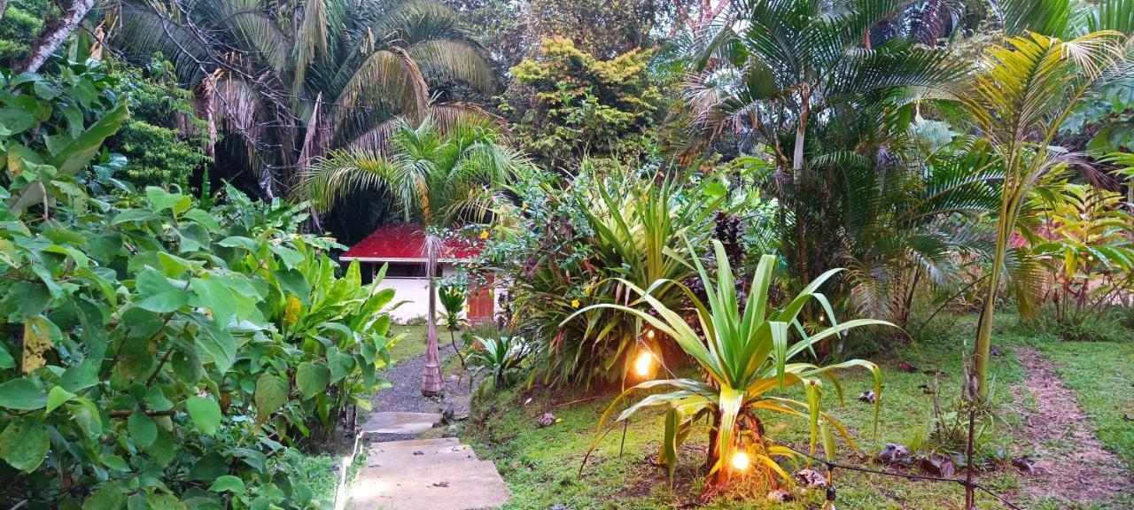 Selva Linda Lodge Vacation Rentals Quepos Exteriör bild
