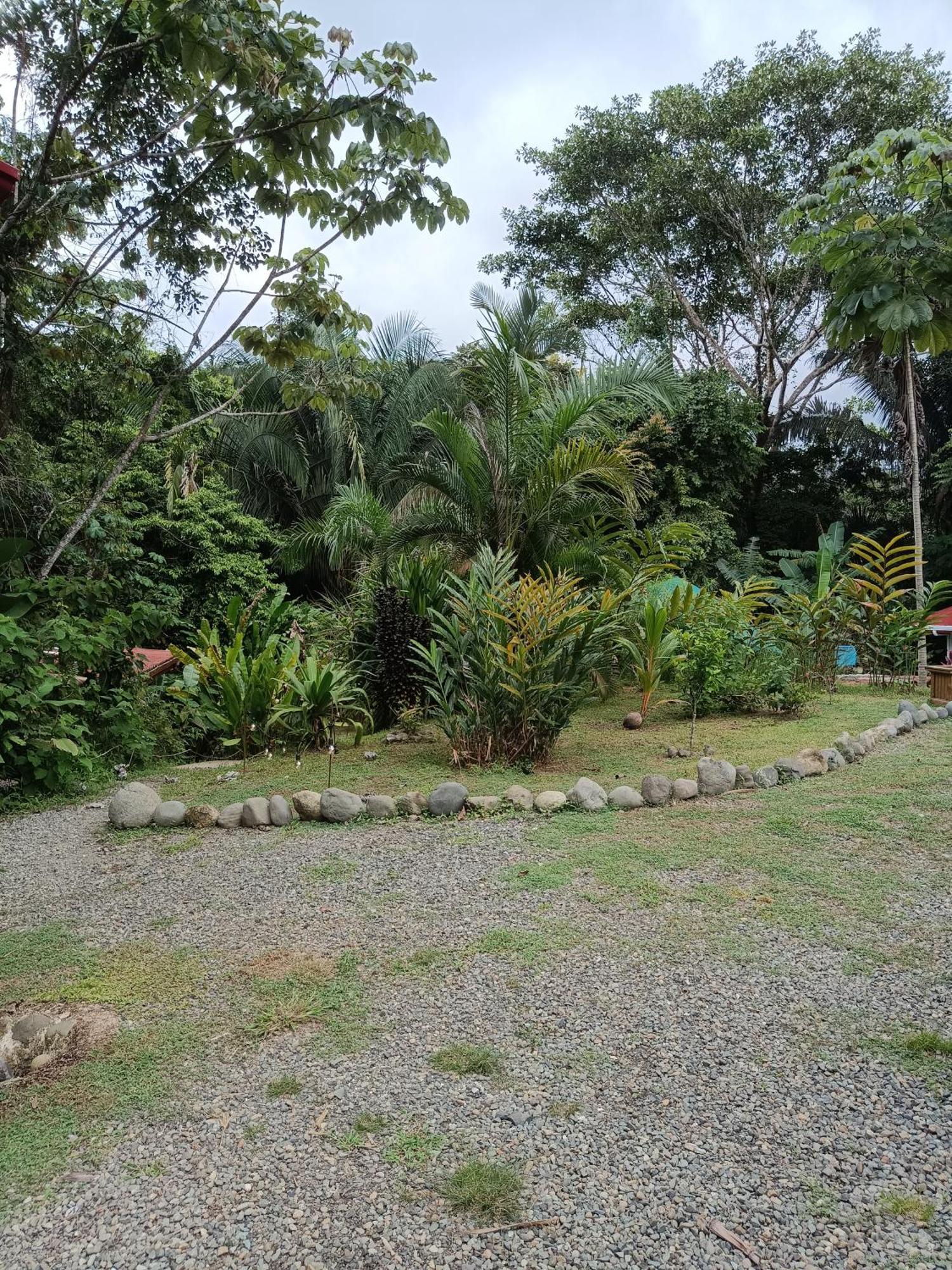 Selva Linda Lodge Vacation Rentals Quepos Exteriör bild